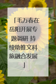 毛万春在岳阳开展专题调研 持续助推文科旅融合发展