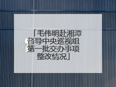 毛伟明赴湘潭督导中央巡视组第一批交办事项整改情况