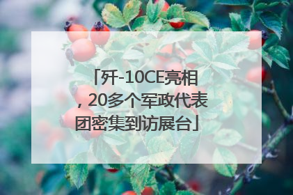 歼-10CE亮相，20多个军政代表团密集到访展台
