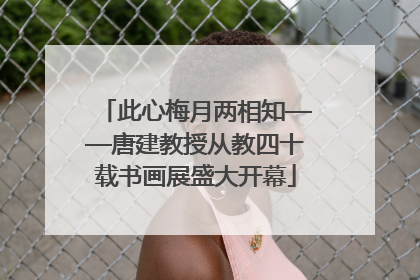 此心梅月两相知——唐建教授从教四十载书画展盛大开幕