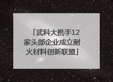 武科大携手12家头部企业成立耐火材料创新联盟