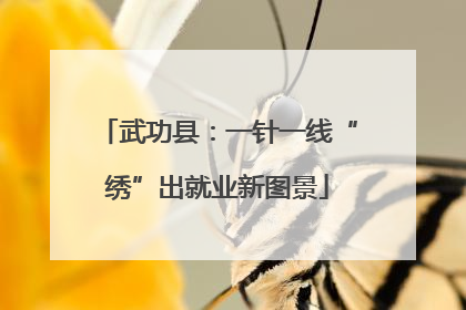 武功县：一针一线“绣”出就业新图景