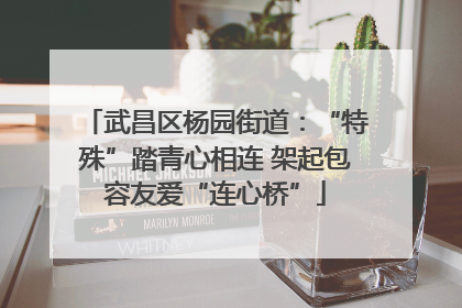 武昌区杨园街道：“特殊”踏青心相连 架起包容友爱“连心桥”