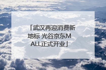 武汉再迎消费新地标 光谷京东MALL正式开业