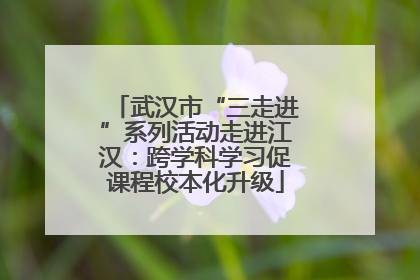 武汉市“三走进”系列活动走进江汉：跨学科学习促课程校本化升级