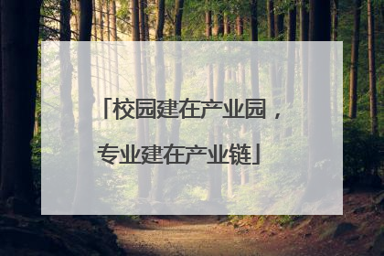 校园建在产业园，专业建在产业链