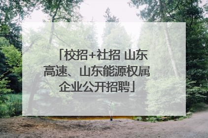 校招+社招 山东高速、山东能源权属企业公开招聘