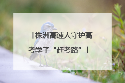株洲高速人守护高考学子“赶考路”