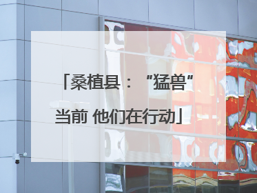 桑植县：“猛兽”当前 他们在行动