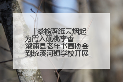 桑榆落纸云烟起 为霞入砚桃李香——溆浦县老年书画协会到统溪河镇学校开展书画进校园活动