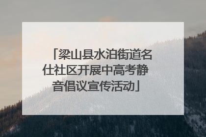梁山县水泊街道名仕社区开展中高考静音倡议宣传活动
