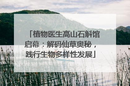 植物医生高山石斛馆启幕：解码仙草奥秘，践行生物多样性发展