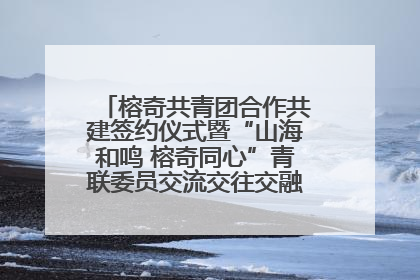 榕奇共青团合作共建签约仪式暨“山海和鸣 榕奇同心”青联委员交流交往交融活动在福州举行