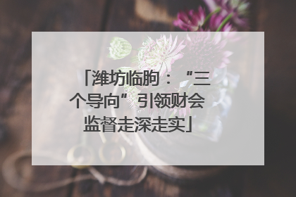潍坊临朐：“三个导向”引领财会监督走深走实