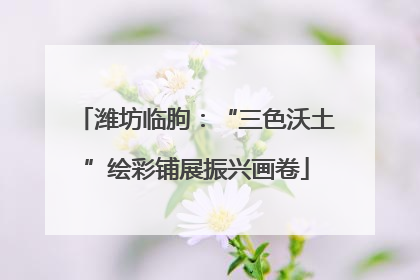 潍坊临朐：“三色沃土”绘彩铺展振兴画卷
