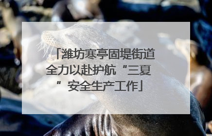 潍坊寒亭固堤街道全力以赴护航“三夏”安全生产工作