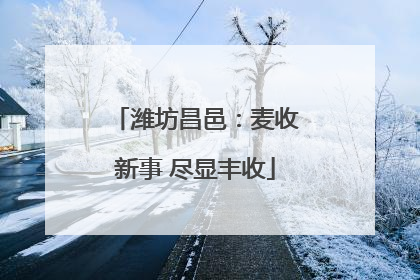 潍坊昌邑：麦收新事 尽显丰收