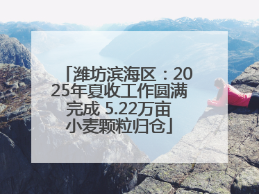 潍坊滨海区：2025年夏收工作圆满完成 5.22万亩小麦颗粒归仓