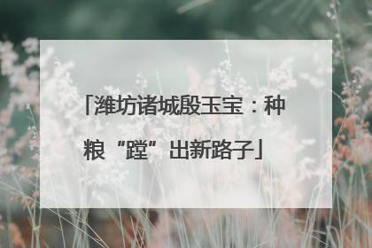 潍坊诸城殷玉宝：种粮“蹚”出新路子