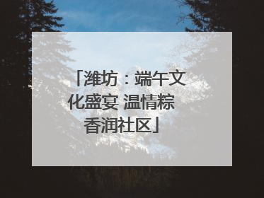潍坊：端午文化盛宴 温情粽香润社区