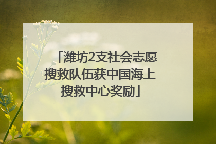 潍坊2支社会志愿搜救队伍获中国海上搜救中心奖励