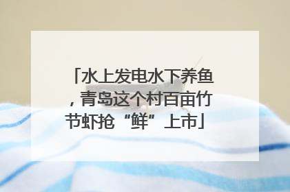 水上发电水下养鱼，青岛这个村百亩竹节虾抢“鲜”上市