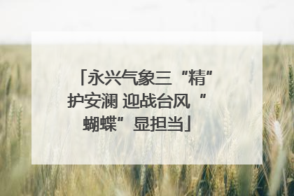 永兴气象三“精”护安澜 迎战台风“蝴蝶”显担当