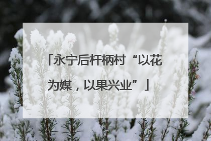永宁后杆柄村“以花为媒，以果兴业”