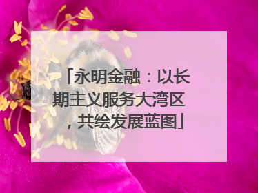 永明金融：以长期主义服务大湾区，共绘发展蓝图
