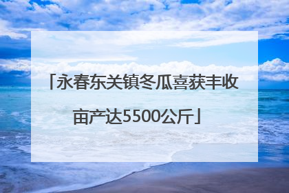 永春东关镇冬瓜喜获丰收 亩产达5500公斤