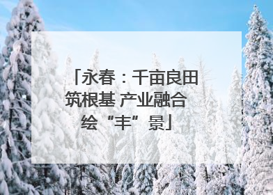 永春：千亩良田筑根基 产业融合绘“丰”景