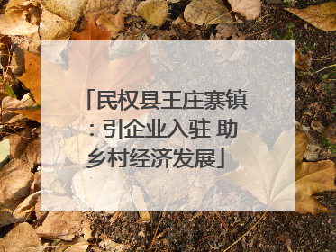 民权县王庄寨镇：引企业入驻 助乡村经济发展