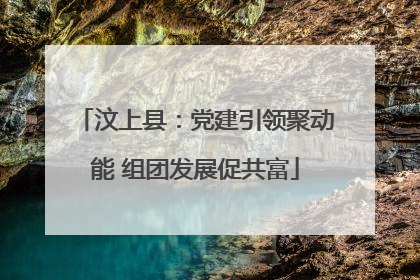 汶上县：党建引领聚动能 组团发展促共富