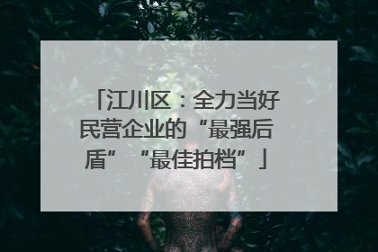 江川区：全力当好民营企业的“最强后盾”“最佳拍档”