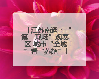 江苏南通：“第二现场”观赛区 城市“全域”看“苏超”