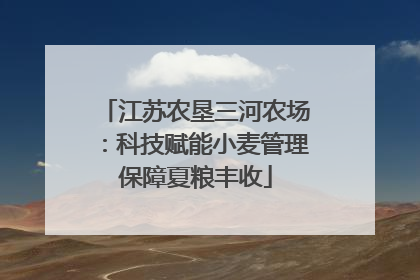 江苏农垦三河农场：科技赋能小麦管理保障夏粮丰收