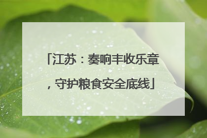 江苏：奏响丰收乐章，守护粮食安全底线