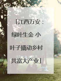 江西万安：绿叶生金 小叶子撬动乡村共富大产业