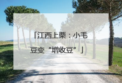 江西上栗：小毛豆变“增收豆”