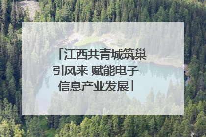 江西共青城筑巢引凤来 赋能电子信息产业发展