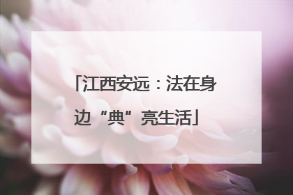 江西安远：法在身边“典”亮生活