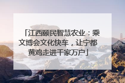 江西颐民智慧农业：乘文博会文化快车，让宁都黄鸡走进千家万户