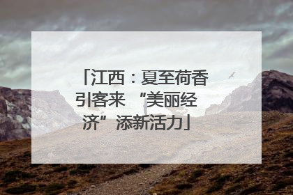 江西：夏至荷香引客来 “美丽经济”添新活力