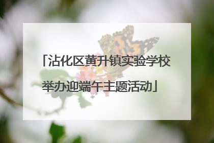 沾化区黄升镇实验学校举办迎端午主题活动