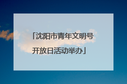沈阳市青年文明号开放日活动举办