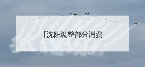 沈阳调整部分消费品以旧换新活动