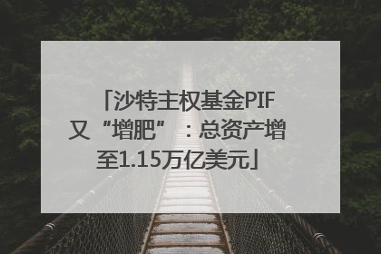 沙特主权基金PIF又“增肥”：总资产增至1.15万亿美元