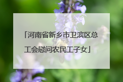 河南省新乡市卫滨区总工会慰问农民工子女