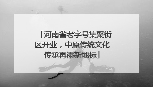 河南省老字号集聚街区开业，中原传统文化传承再添新地标