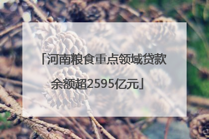 河南粮食重点领域贷款余额超2595亿元